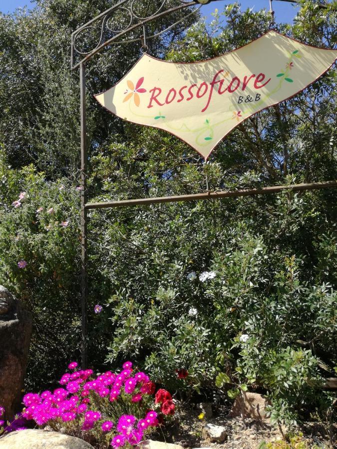 Rossofiore 卡斯蒂亚达斯 外观 照片